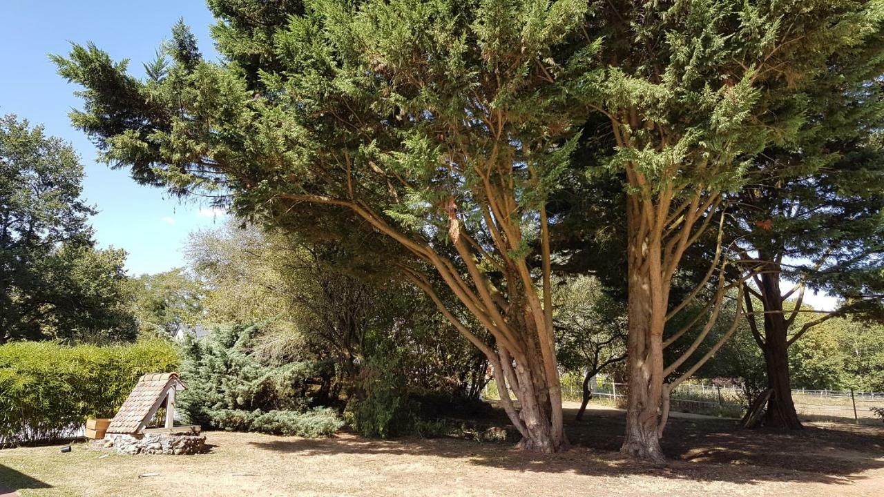 Au Clos du Coteau Crotelles Exterior foto